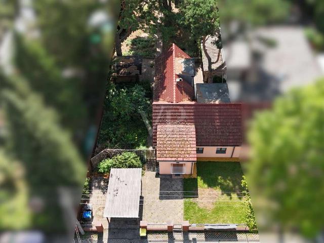 Haus kaufen in Marzahn-Hellersdorf, Berlin
