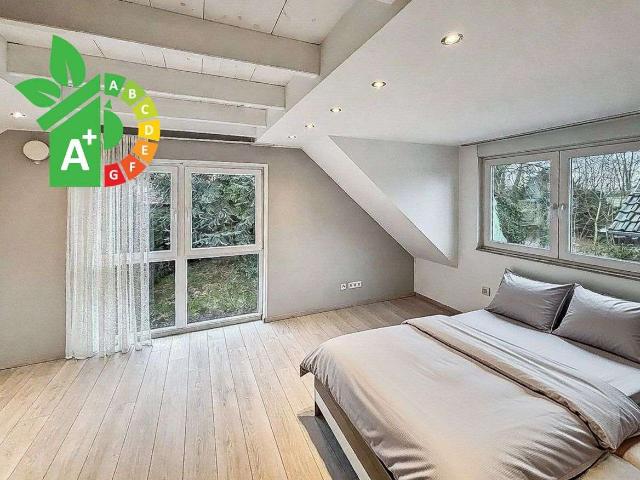 Haus kaufen in Werne, Bochum