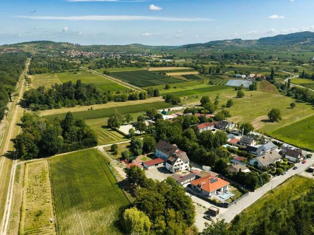 Haus kaufen in Breisach (Kernstadt), Breisach am Rhein