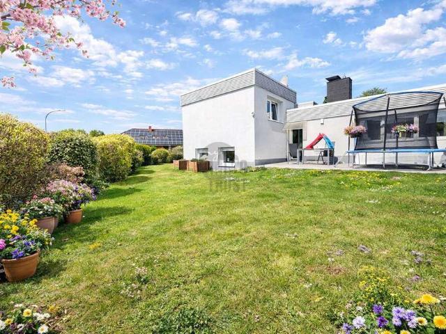Haus kaufen in Buchen-Stadt, Buchen