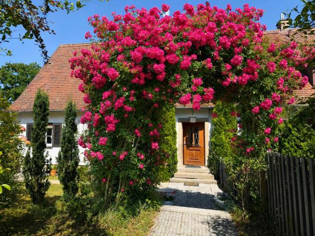 Haus kaufen in Coburg, Bayern