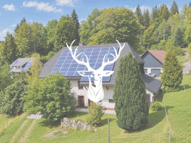 Haus kaufen in Wittenschwand, Dachsberg (Südschwarzwald)