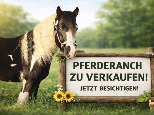 Haus kaufen in Diepholz, Niedersachsen