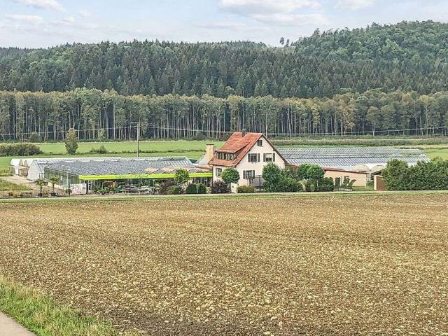 Haus kaufen in Dischingen