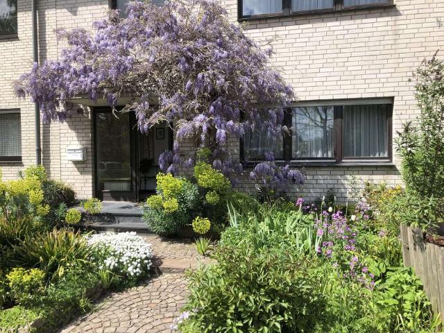 Haus kaufen in Zons, Dormagen