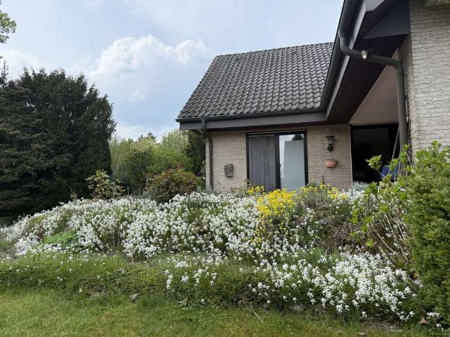 Haus kaufen in Mitte, Dülmen