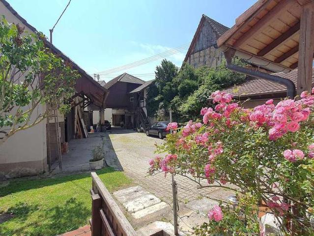 Haus kaufen in Efringen-Kirchen, Baden-Württemberg