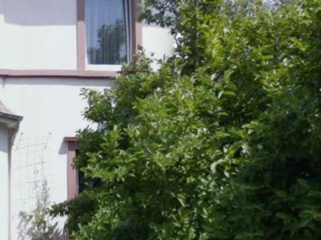 Haus kaufen in Eschersheim, Sachsenhausen