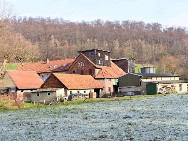 Haus kaufen in Freden (Leine), Freden