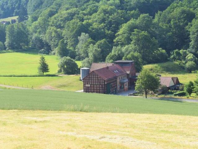 Haus kaufen in Freden (Leine), Freden