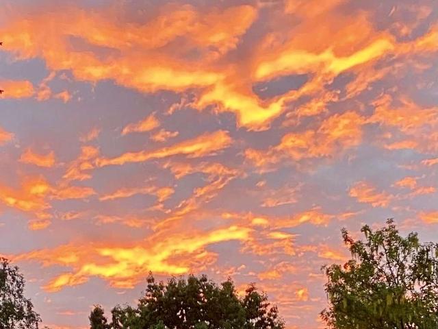 Haus kaufen in Freigericht, Hessen