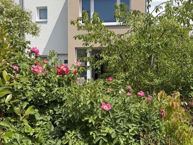 Haus kaufen in Grone, Göttingen