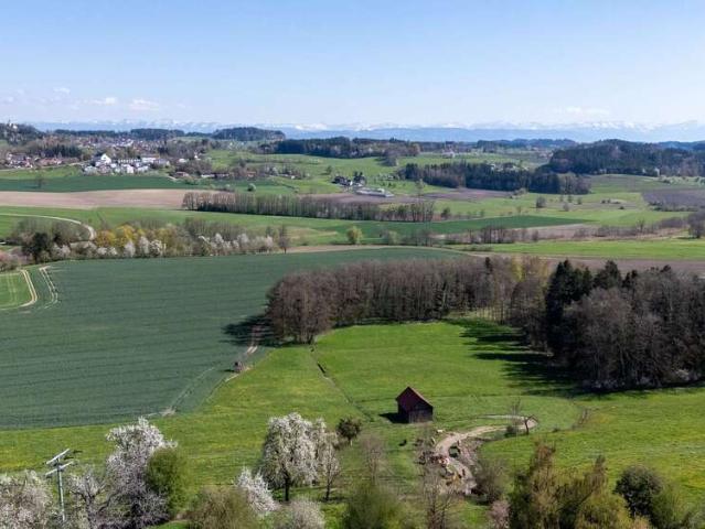 Haus kaufen in Grünkraut, Baden-Württemberg