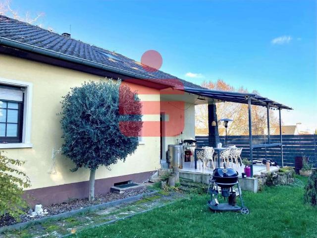 Haus kaufen in Grünstadt, Rheinland-Pfalz