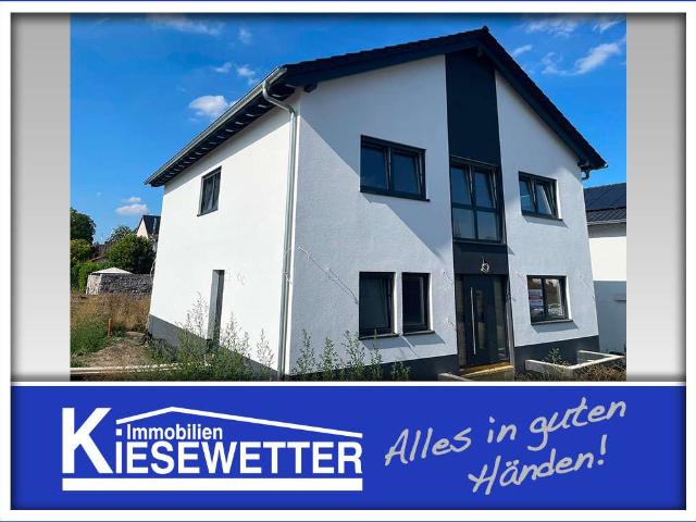 Haus kaufen in Gundersheim, Rheinland-Pfalz