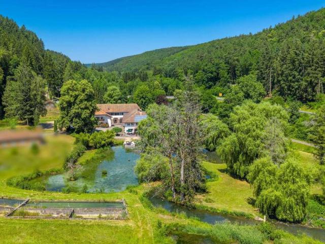 Haus kaufen in Hardheim, Baden-Württemberg