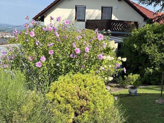 Haus kaufen in Heidenau, Sachsen