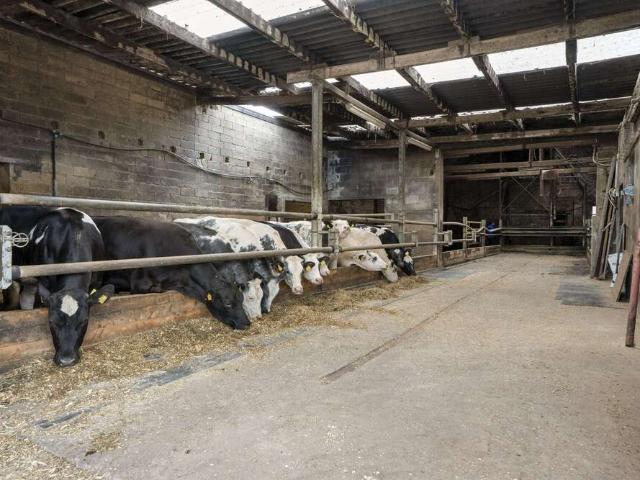 Haus kaufen in Heinsberg, Nordrhein-Westfalen