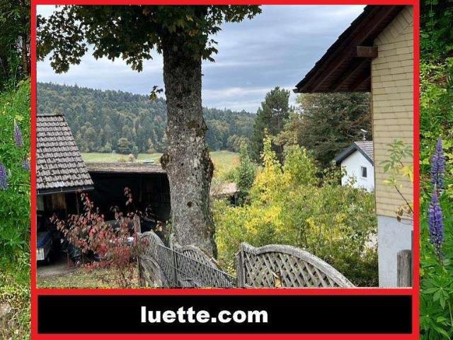 Haus kaufen in Wehrhalden, Herrischried