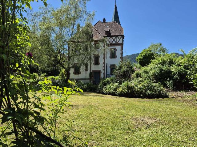 Haus kaufen in Hornberg, Baden-Württemberg
