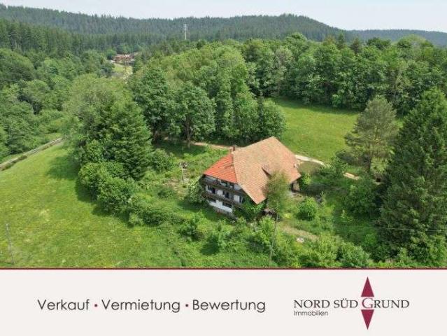 Haus kaufen in Hornberg, Baden-Württemberg