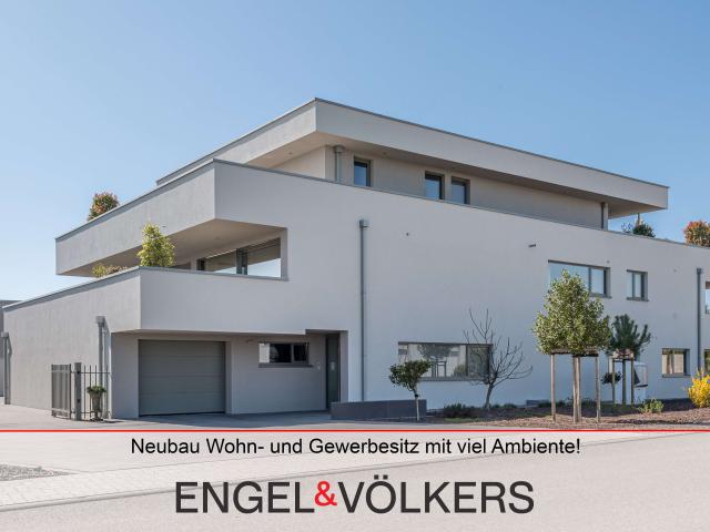 Haus kaufen in Kirrweiler, Rheinland-Pfalz