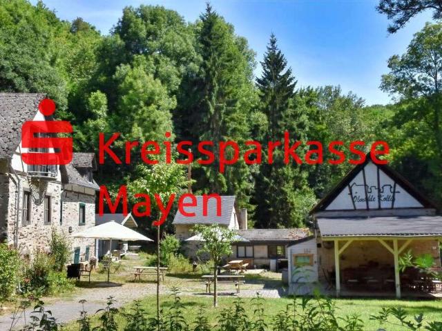 Haus kaufen in Kollig, Rheinland-Pfalz