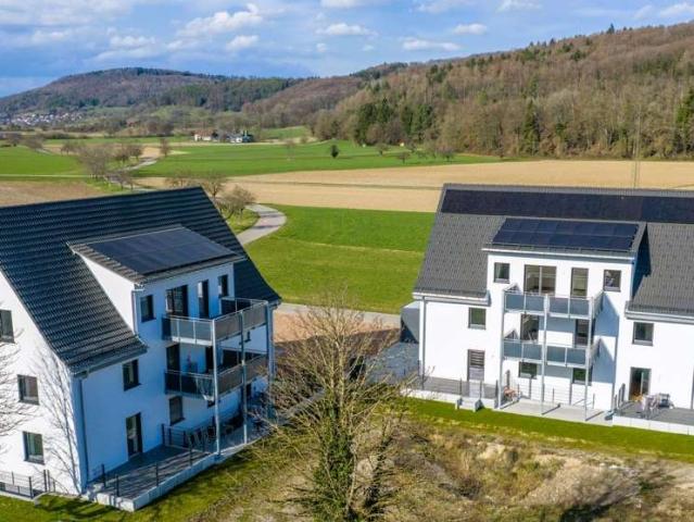 Haus kaufen in Rheinheim, Küssaberg