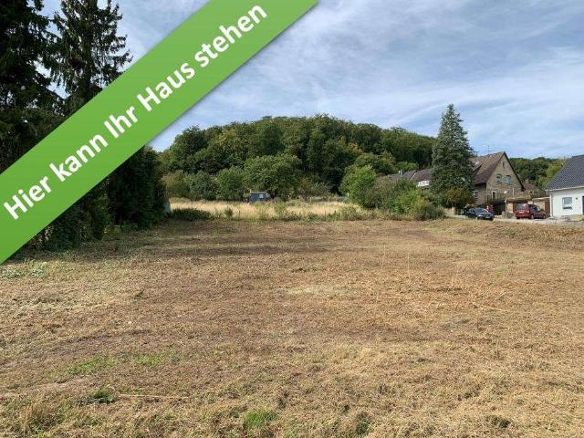 Haus kaufen in Lamspringe