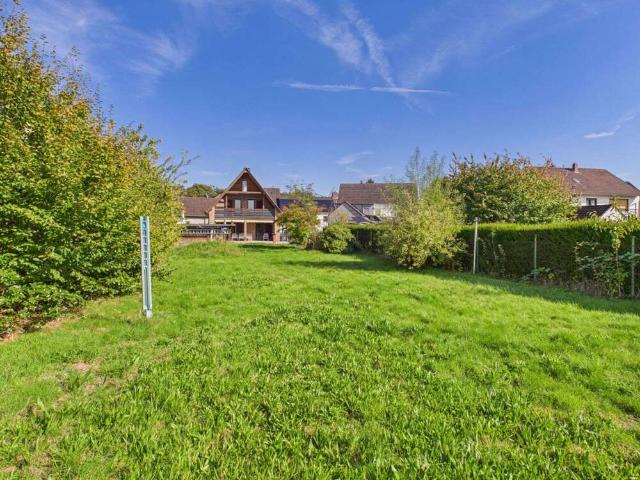 Haus kaufen in Immigrath, Langenfeld