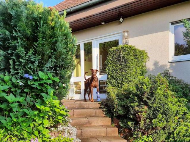 Haus kaufen in Leidersbach
