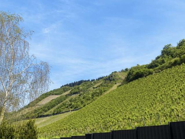 Haus kaufen in Leutesdorf, Rheinland-Pfalz