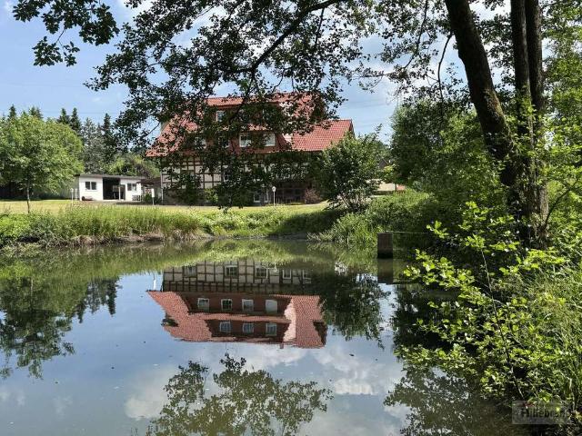 Haus kaufen in Marsberg, Niedermarsberg