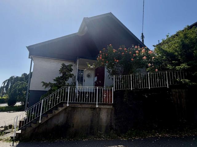 Haus kaufen in Mendig, Rheinland-Pfalz