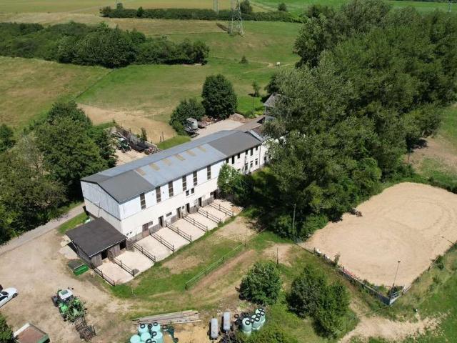 Haus kaufen in Mettendorf, Eifelkreis Bitburg-Prüm