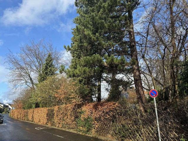 Haus kaufen in Stübbenhaus, Mettmann