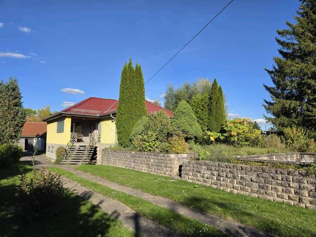 Haus kaufen in Gewerbegebiet Triftweg, Mühlhausen/Thüringen