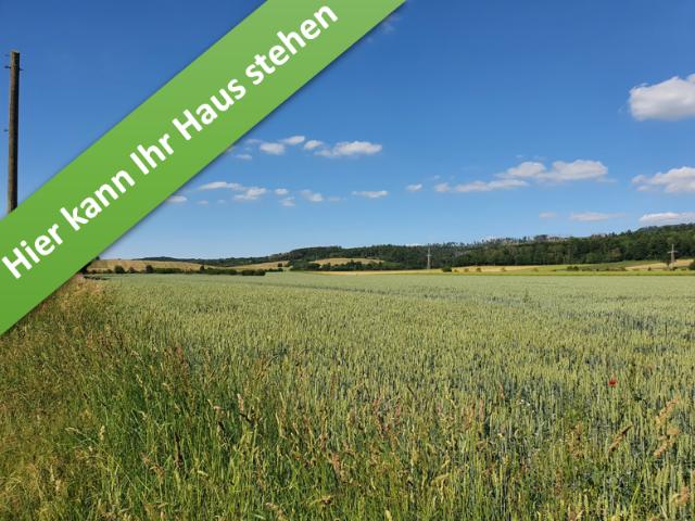 Haus kaufen in Seesen, Niedersachsen