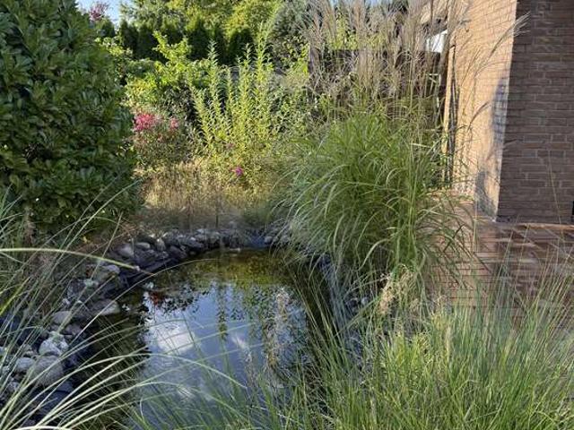 Haus kaufen in Gievenbeck, Munster