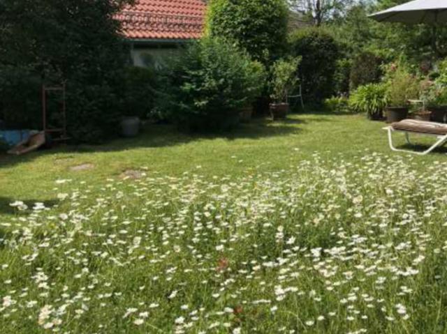 Haus kaufen in Mutlangen, Baden-Württemberg