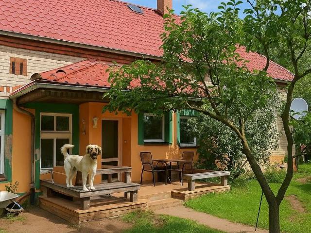 Haus kaufen in Niedergörsdorf, Brandenburg