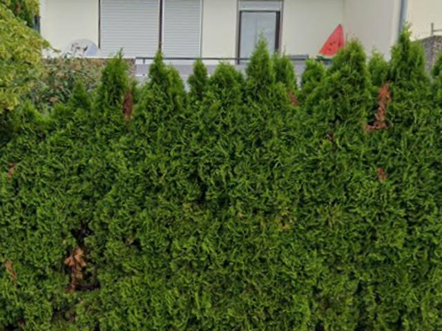 Haus kaufen in Oberensingen, Nürtingen