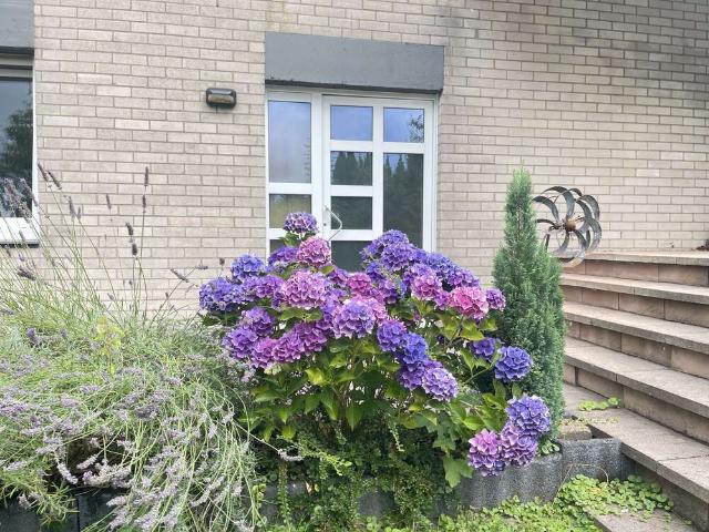 Haus kaufen in Glöbusch, Odenthal