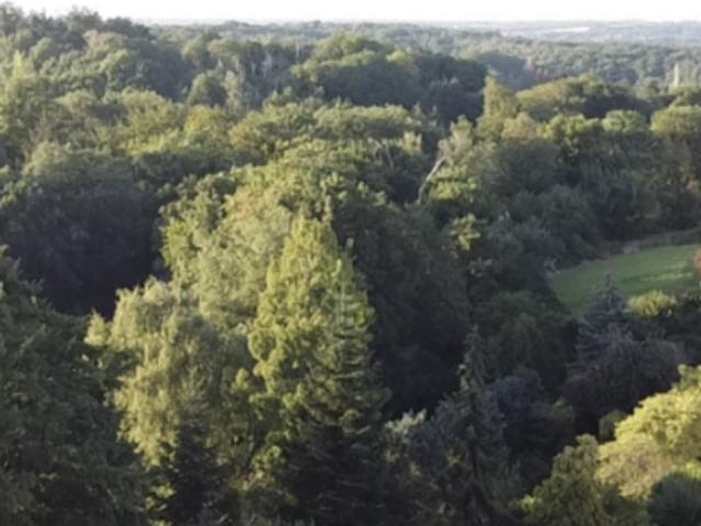 Haus kaufen in Ratingen, Nordrhein-Westfalen