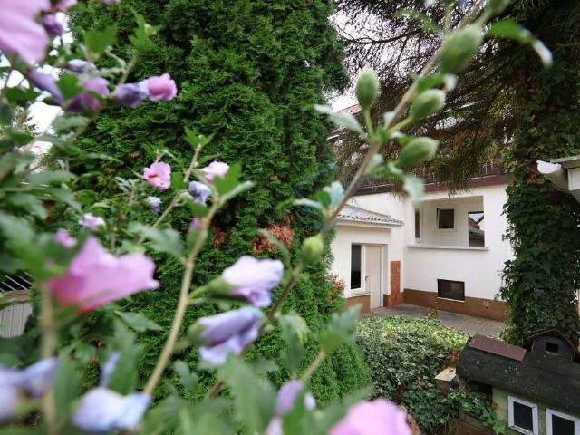 Haus kaufen in Reinheim, Hessen