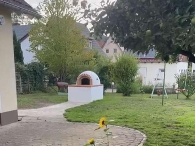 Haus kaufen in Rotenburg an der Fulda, Hessen