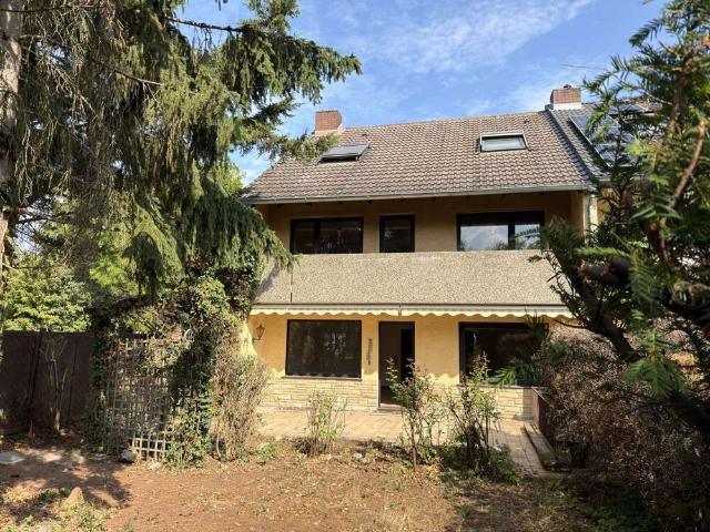 Haus kaufen in Rüsselsheim am Main, Rüsselsheim