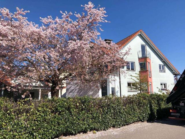 Haus kaufen in Rust, Baden-Württemberg