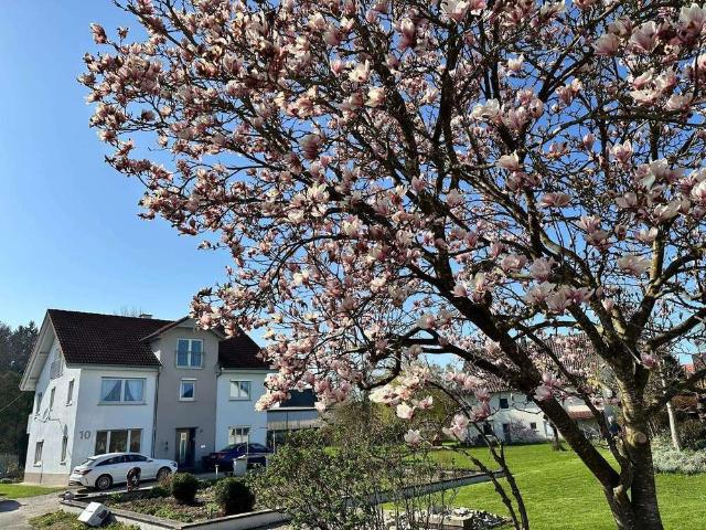 Haus kaufen in Schemmerhofen, Baden-Württemberg