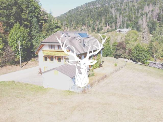 Haus kaufen in Albtal, St. Blasien